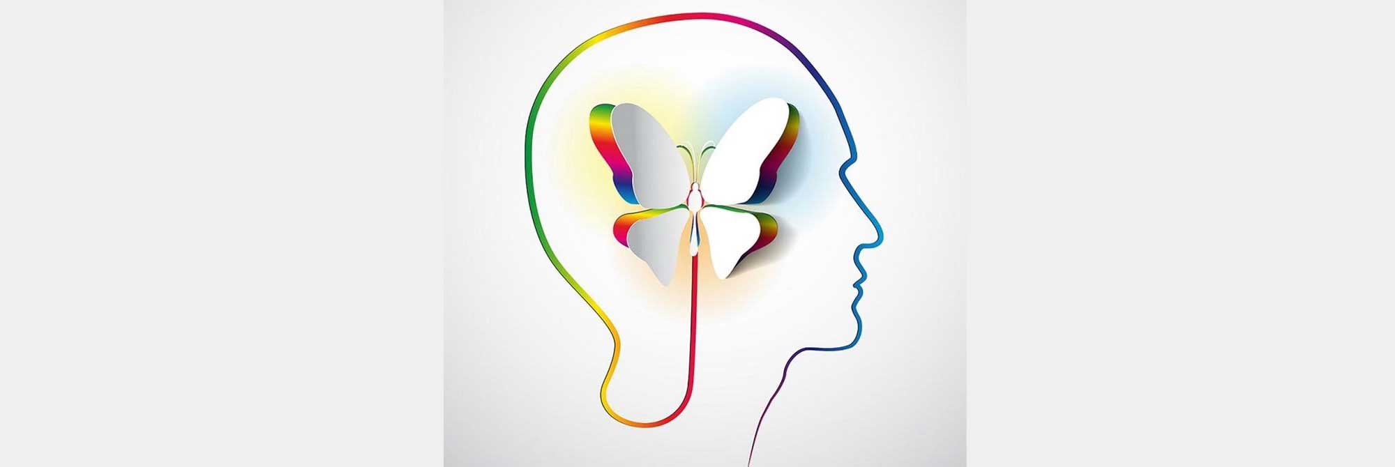 برگزاری دوره ها